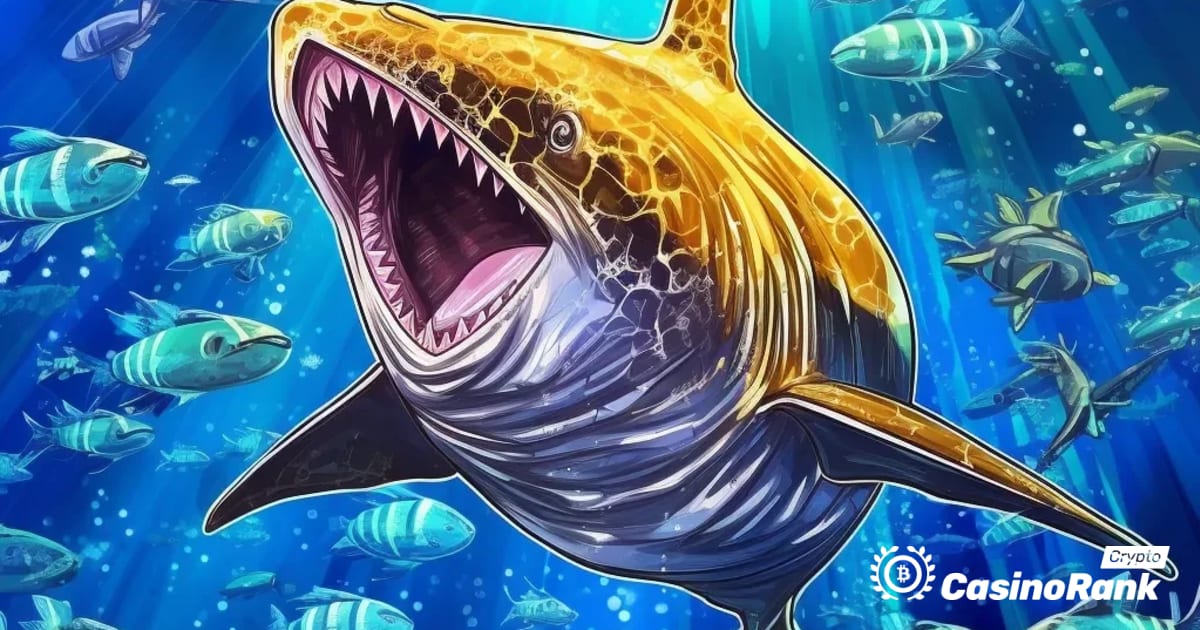 Neznáma „inteligentná veľryba“ zarába milióny obchodovaním so zabalenými bitcoínmi a objavuje spiacu Ethereum ICO peňaženku